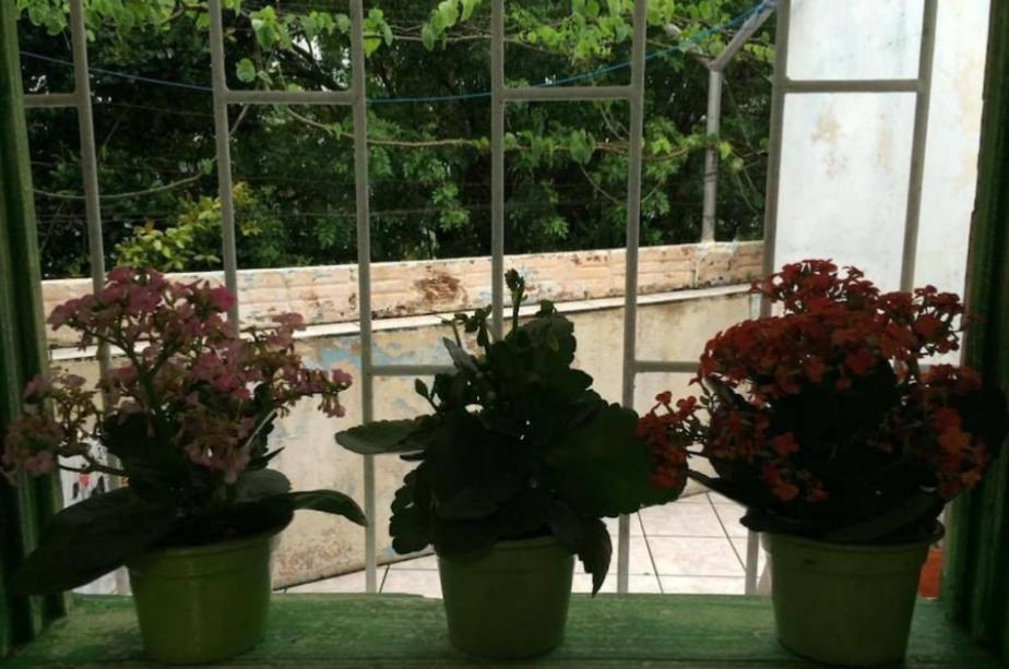 Quarto Em Casa Compartilhada Florianópolis Kültér fotó